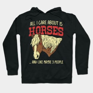 Horse riding Shirts Pony Lover Gift Hoodie